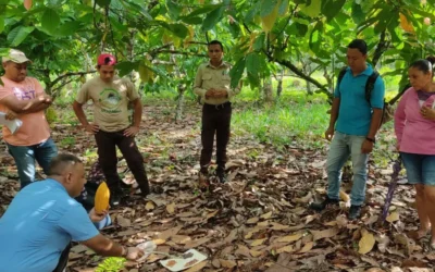 Fortalecerán la producción de cacao en Río San Juan